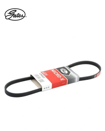 سير دينمو- Gates- new accent