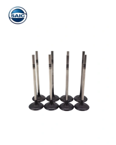 صباب عادم - MG ZS - سايك