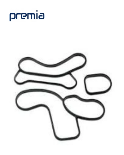 جوان مبرد زيت موتور - بريميا